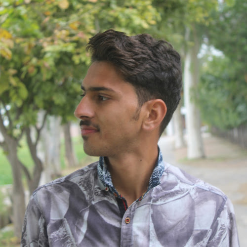 Malik Mudassir Tariq-Freelancer in Lahore,Pakistan