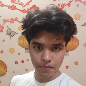 Sanchit-Freelancer in Chandausi,India