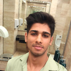 Vinayak-Freelancer in Thanjavur,India