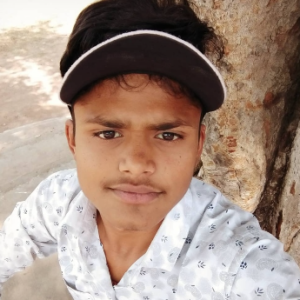 Ajay Kushwah-Freelancer in Bhopal,India