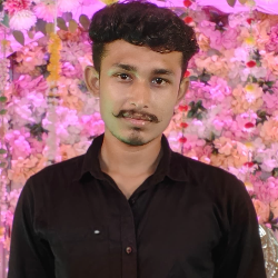 Abhay Bhattacharya-Freelancer in Raghunathpur,India