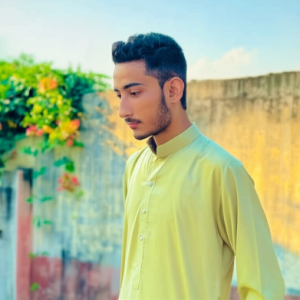 Moiz Ahsan-Freelancer in Islamabad,Pakistan