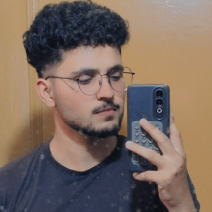 Mubeen Ul Hasan-Freelancer in New Delhi,India