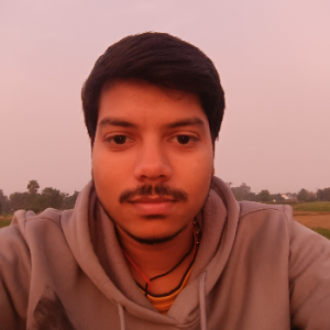 Alok Pandey-Freelancer in Aurangabad, Bihar,India