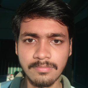 Arman Raza-Freelancer in Siwan,India