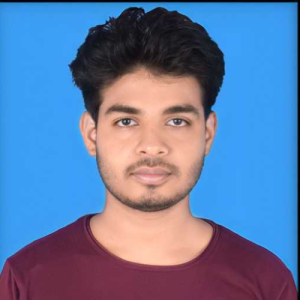 Naveen Mehta-Freelancer in patna,India