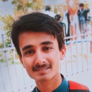 Anand Hanjhro-Freelancer in Qasimabad,Pakistan