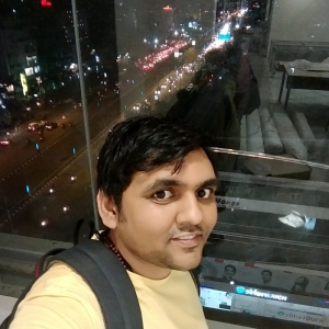 Ritesh Joshi-Freelancer in Indore,India
