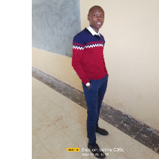 ALVIN-Freelancer in Athi River,Kenya