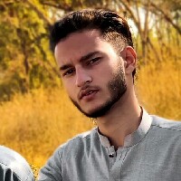 Ameer Hamza-Freelancer in Islamabad,Pakistan