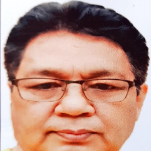 Ananda Gogoi-Freelancer in Sibsagar,India