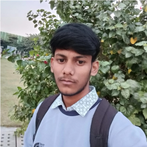 Shivam Kushwaha-Freelancer in Faridabad,India