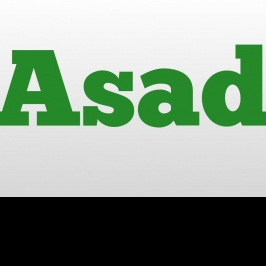 Asad Abbas-Freelancer in Karachi,Pakistan