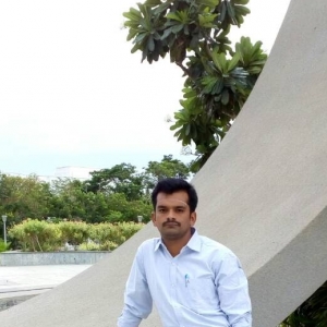 Nataraj P-Freelancer in ,India