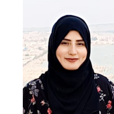 Nawa Zainab-Freelancer in Dina,Pakistan