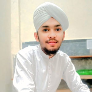 Husnain Ali Qadri-Freelancer in ,Pakistan