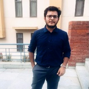 Nilesh Chugh-Freelancer in Delhi,India