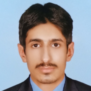 Muhammad Hamid Javaid-Freelancer in Faisalabad,Pakistan