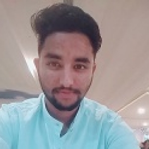 Ashutosh-Freelancer in Himachal Pradesh,India