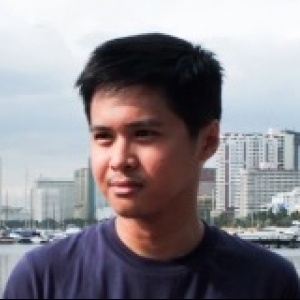 Phoenix Luib-Freelancer in Las Pi,Philippines