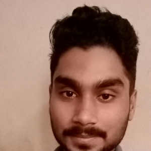 Nikhil Dubey-Freelancer in Pune,India
