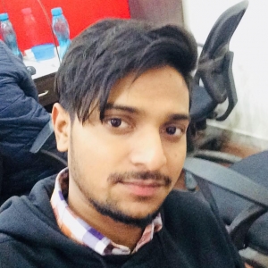 Raushan Kumar-Freelancer in Delhi,India