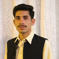 Ansar Sahi-Freelancer in Faisalabad,Pakistan