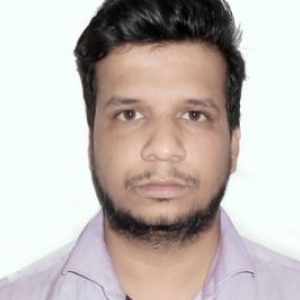 Alamdar Abbas-Freelancer in New Delhi,India