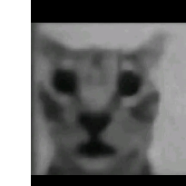 xyz-Freelancer in xyz,Egypt