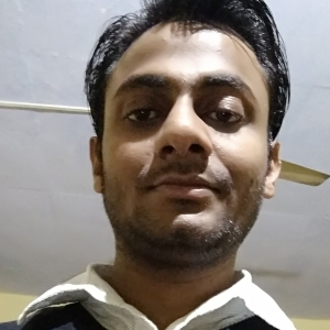 Naveen -Freelancer in ,India