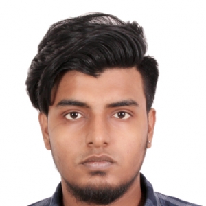 Ishan Ankit-Freelancer in ,India