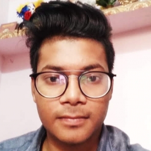 Anshul Kumar-Freelancer in Lucknow,India