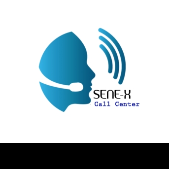 SENE-X ANYTHING PVT LTD-Freelancer in ,Sri Lanka