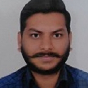 Dinesh Marke-Freelancer in Pune,India