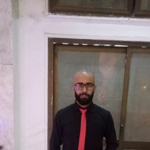 Mohand Abd El-hamid-Freelancer in Cairo,Egypt