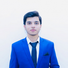 Areeb Adil-Freelancer in Rahimyar Khan,Pakistan