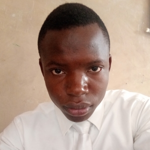 Chukwuyenum Dennis-Freelancer in Abuja,Nigeria