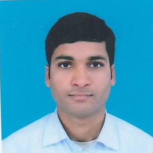 Bikash Kumar Jha-Freelancer in New Delhi,India