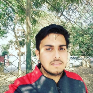 Sachin choudhary-Freelancer in ,India