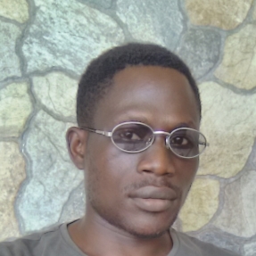 Oyedele Raji-Freelancer in Lagos,Nigeria