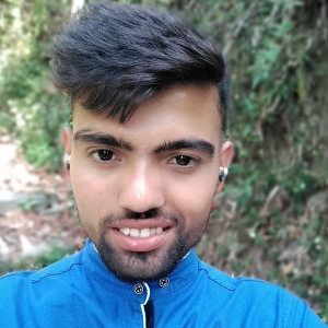Prashant Sharma-Freelancer in Hee Burmiok,India