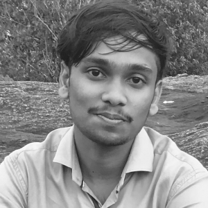 Phoenix Tom-Freelancer in ,India
