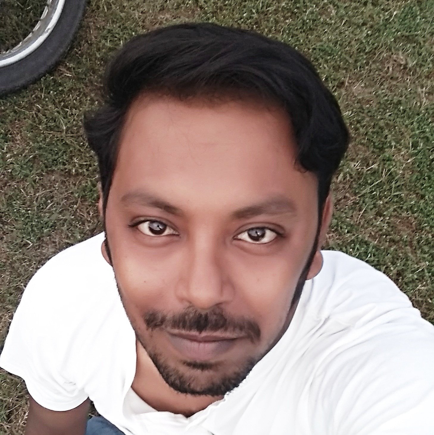 Avishek Saha-Freelancer in ,India