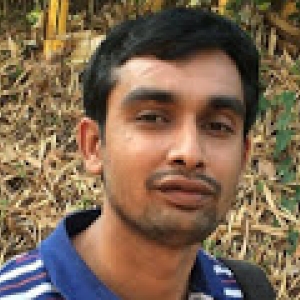 Nagabhooshan Hegde-Freelancer in Bangalore,India