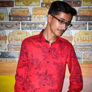Harsh Pandey-Freelancer in Lucknow,India