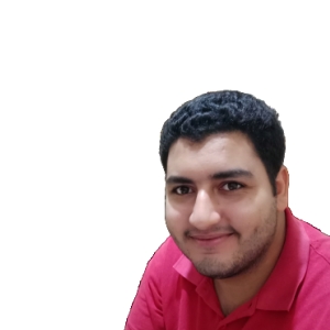 Mohamed Ghoneim-Freelancer in Tala,Egypt