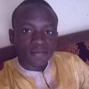 Abdullahi Ladan-Freelancer in Abuja,Nigeria