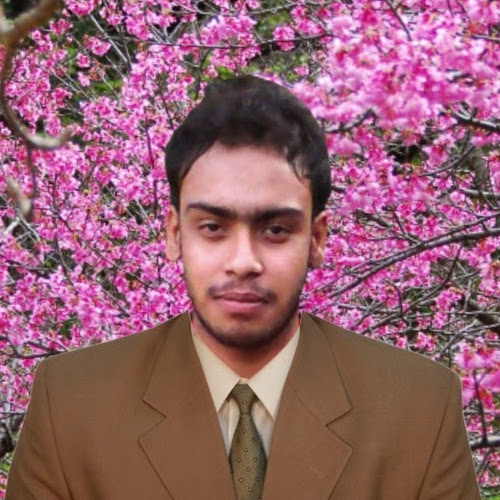 Md Abu Said Noman-Freelancer in Panchgachha,Bangladesh