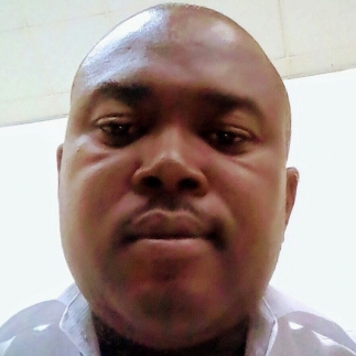 davidking okoro-Freelancer in Lagos,Nigeria