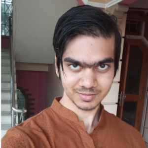 Amlan Shekhar Baruah-Freelancer in Kasavanahalli,India